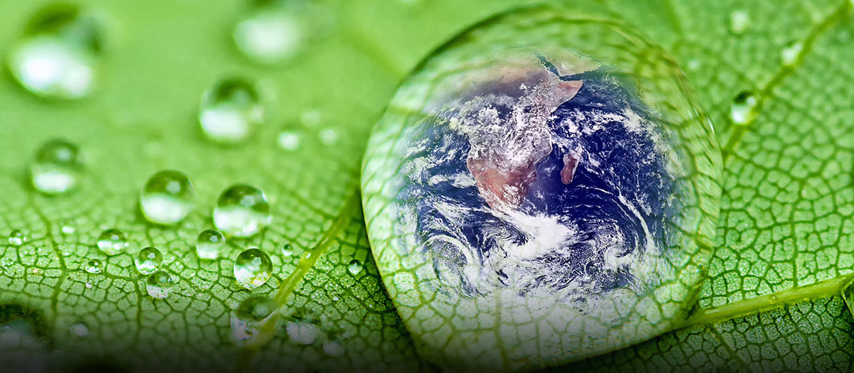 Illustration of earth on a leaf